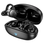 Hoco EW57  Wireless Earbuds