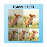 Vention AANBG HDMI 2.1 Male to Male, 1.5 Meter, Black Cable (8k) - Image 5